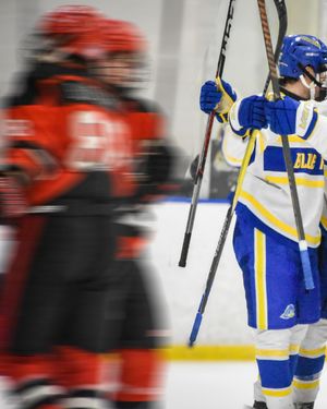 Image post by @aquavia_photography on Instagram