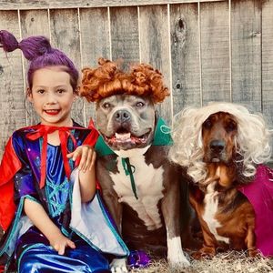 Image post by @disneypets on Instagram