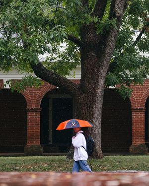 Image post by @uva on Instagram