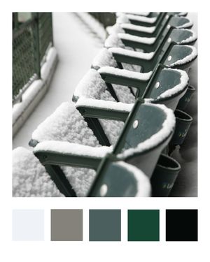 Image post by @officialwrigleyfield on Instagram