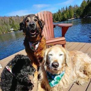 Image post by @shop_buddybythesea on Instagram