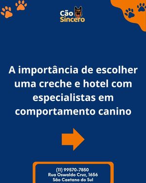 Image post by @adestradores.caosincero on Instagram
