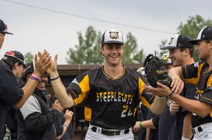 Image post by @steeplecats on Instagram