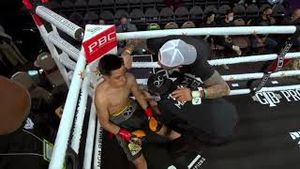 Video post by @pbconfox on YouTube