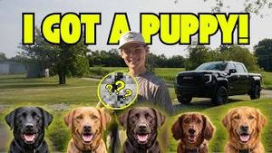 Video post by @maddoxbatson1 on YouTube