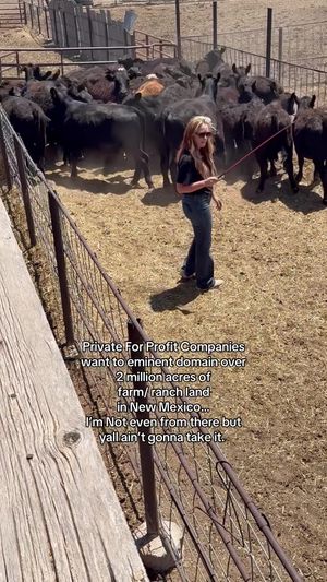 Video post by @claredunnmusic on TikTok