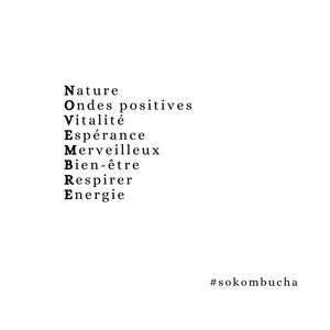 Image post by @so_kombucha on Instagram