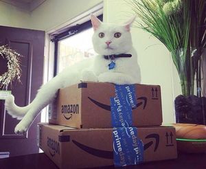 Image post by @amazon on Instagram