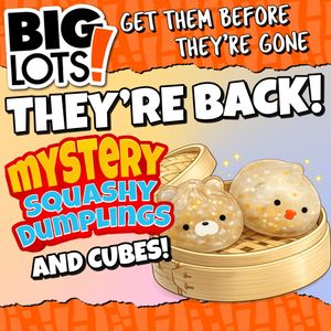 Image post by @biglots on Instagram