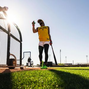 Image post by @tatis on Instagram