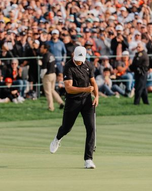 Image post by @thegenesisinv on Instagram