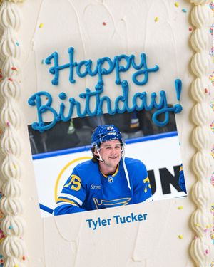 Image post by @stlouisblues on Instagram