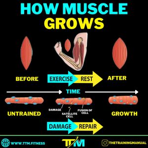 Image post by @thetrainingmanual on Instagram
