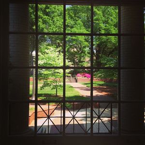 Image post by @ncstate on Instagram