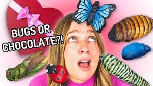Video post by @melissaaltcakes on YouTube