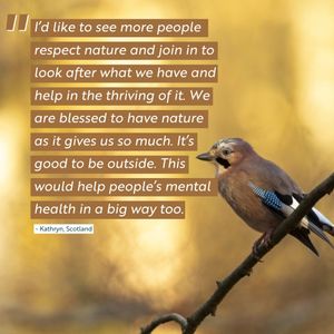 Image post by @rspb on Instagram