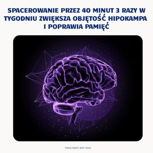 Image post by @neurochirurg_litak on Instagram