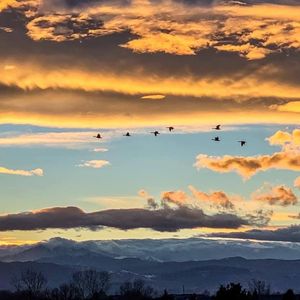 Image post by @uchealth on Instagram