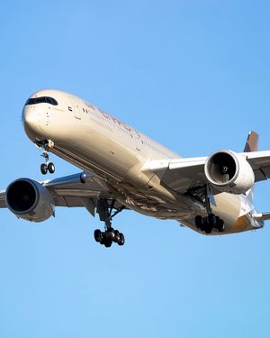 Image post by @etihad on Instagram