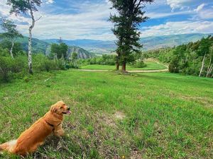 Image post by @ArrowheadAtVail on Facebook