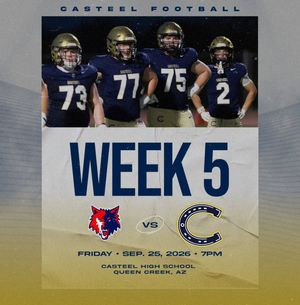 Image post by @casteelfootballaz on Instagram