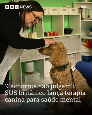 Image post by @bbcbrasil on Instagram