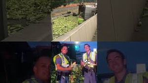 Video post by @wwltv on YouTube