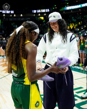 Image post by @seattlestorm on Instagram