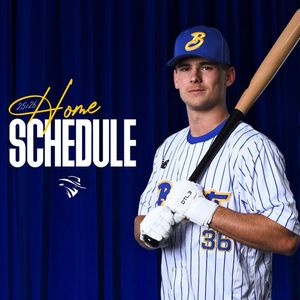 Image post by @brisbanebandits on Instagram