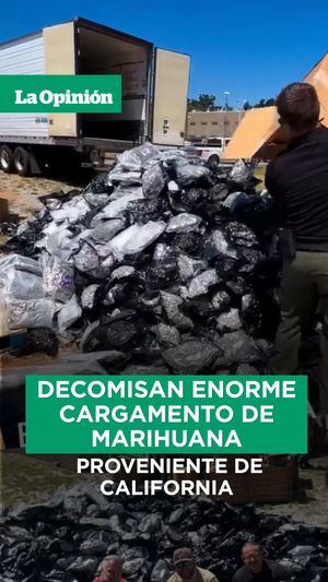 Image post by @laopinionla on Instagram