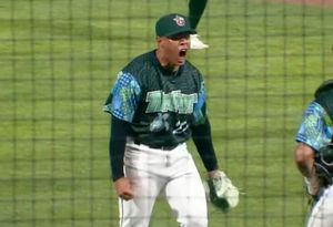 Image post by @tincaps on Instagram