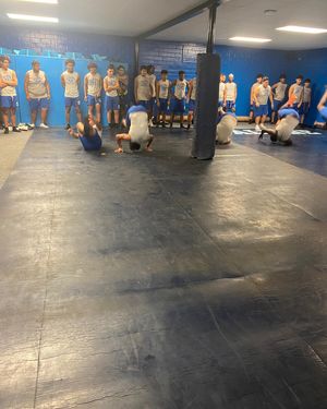 Image post by @aldinemustangfb on Instagram