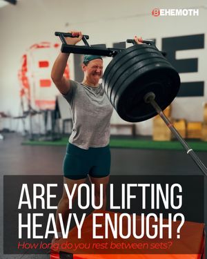 Image post by @behemothgym on Instagram