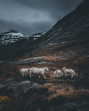 Image post by @kszczuka on Instagram