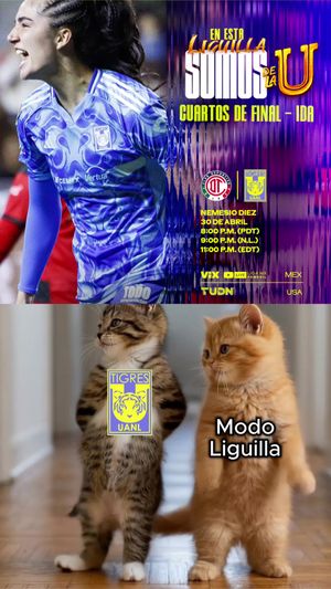 Video post by @clubtigresfemenil on TikTok