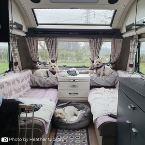 Image post by @candmclub on Instagram