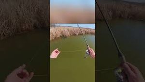 Video post by @lakeforkguy on YouTube
