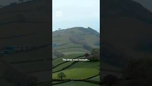 Video post by @s4c on YouTube