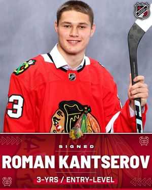 Image post by @puckreportnhl on Instagram