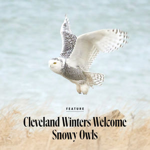 Image post by @clevelandmagazine on Instagram