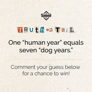 Image post by @diamondpetfoods on Instagram