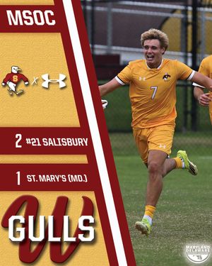 Image post by @suseagulls on Instagram