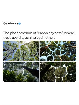Image post by @gravitonomy on Instagram