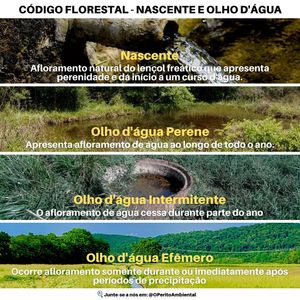 Image post by @operitoambiental on Instagram