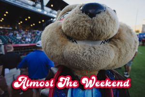 Image post by @chico_epchihuahuas on Instagram