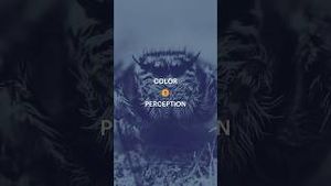 Video post by @curiositystreaming on YouTube