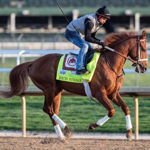 Image post by @osdb on Instagram