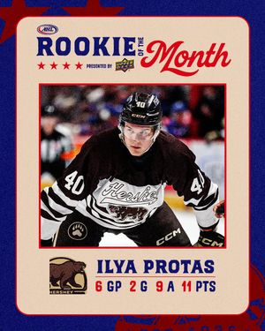 Image post by @theahl on Instagram