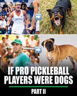 Video post by @thekitchenpickleball on TikTok