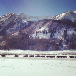 Image post by @skicrestedbutte on Instagram